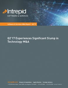 Newletter SoftwareServices MAReport Q217