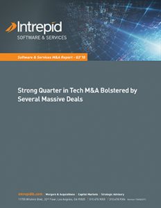 Newletter SoftwareServices MAReport Q318