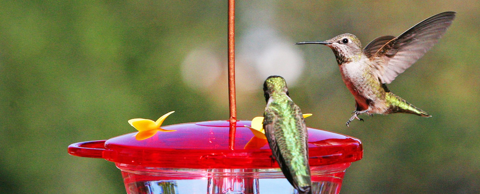 30 lifestyle e1623371883213