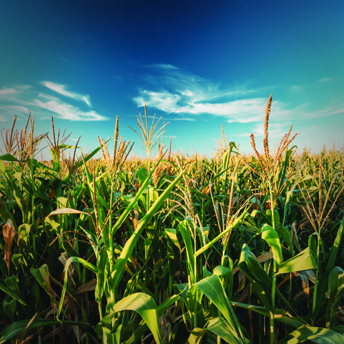 Food Industry Summit 2016