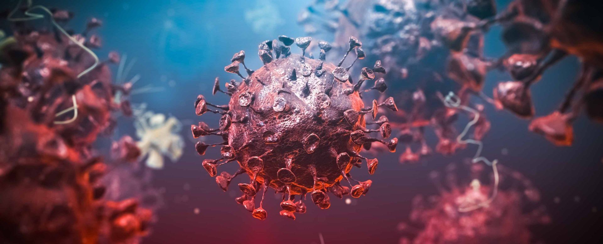 iStock 1203949841 e1623370230471