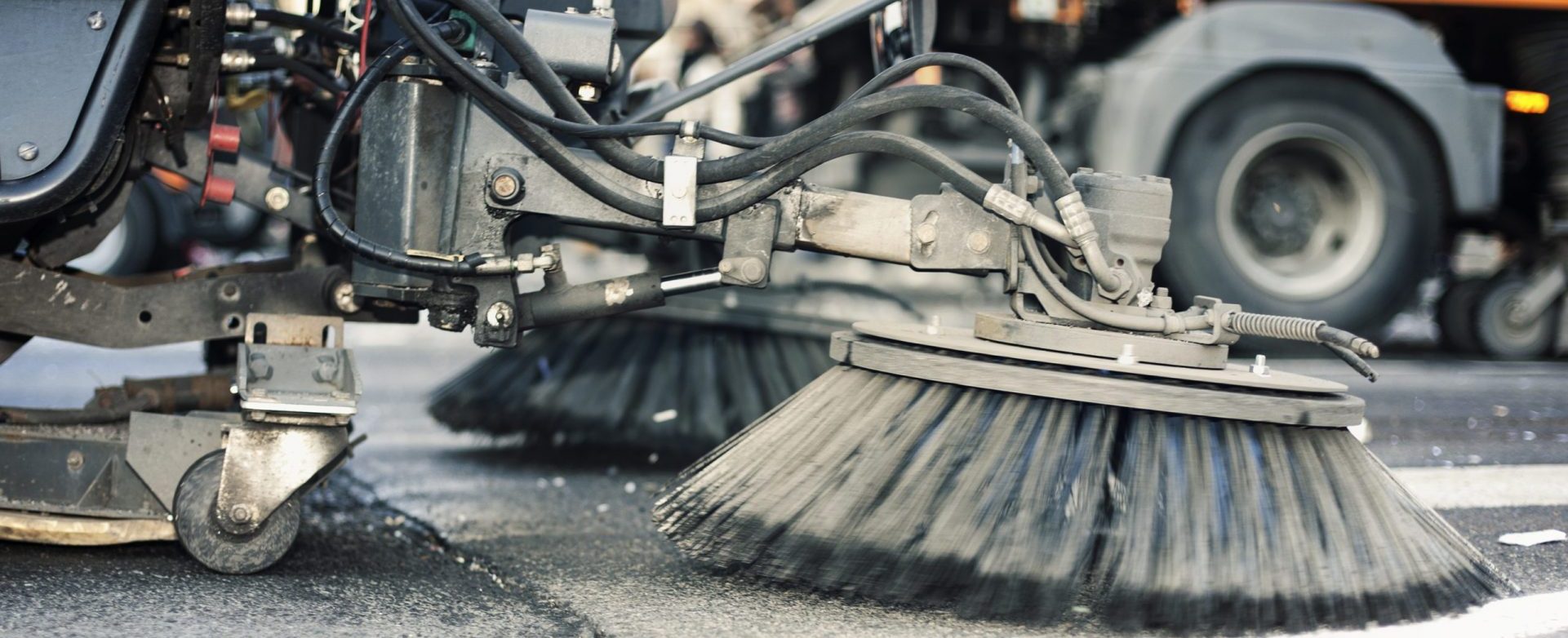 CS Image scaled e1623365619895