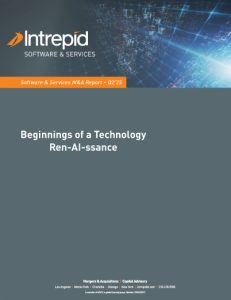 IIB Software and Services Newsletter Q2 2023 v2 002