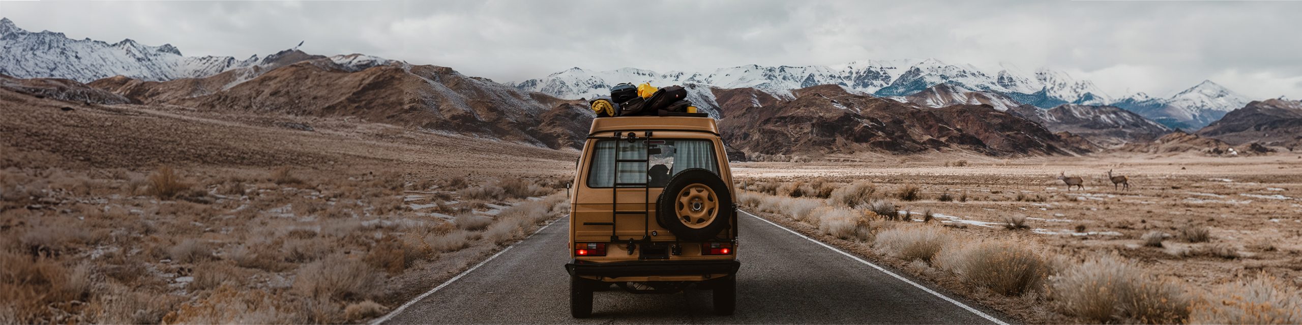 Q3 2023 Feature Image scaled