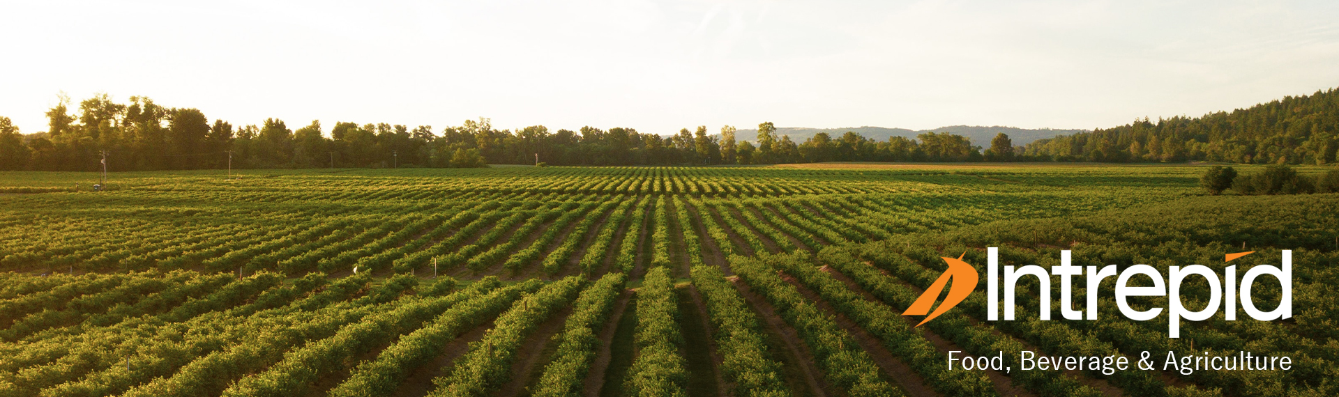 Food Beverage Agriculture Header 1